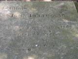 image of grave number 493391